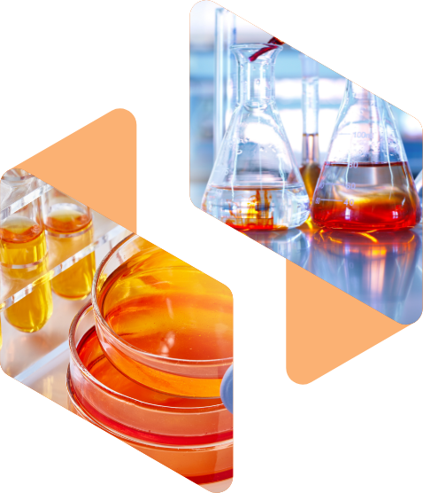 Univar Solutions