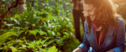 Organic Food Industry and Organic Compliant Foods