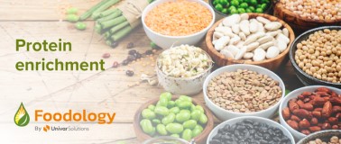Serving bowls containing plant-based protein enriched foods