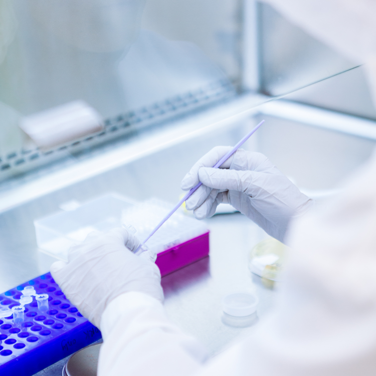 Person working in a pharmaceutical lab